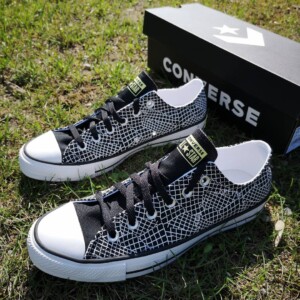 Converse 170123C Digital Terrain принт паук черные низкие кеды