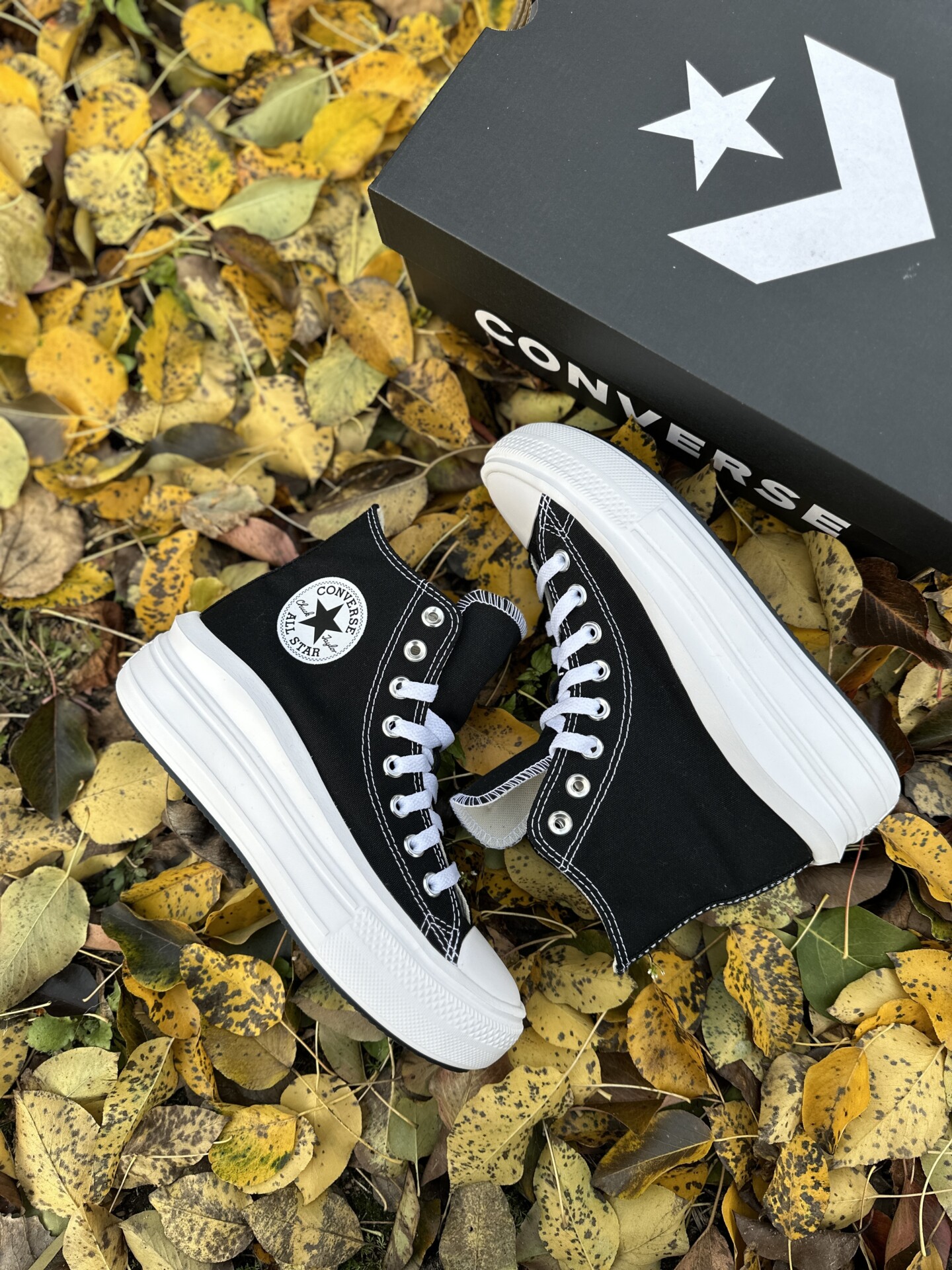 Converse 568497C