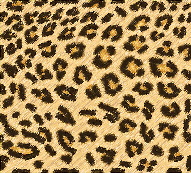 print leopard converse