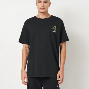 Футболка Converse CVM5T192-BLK черная с принтом